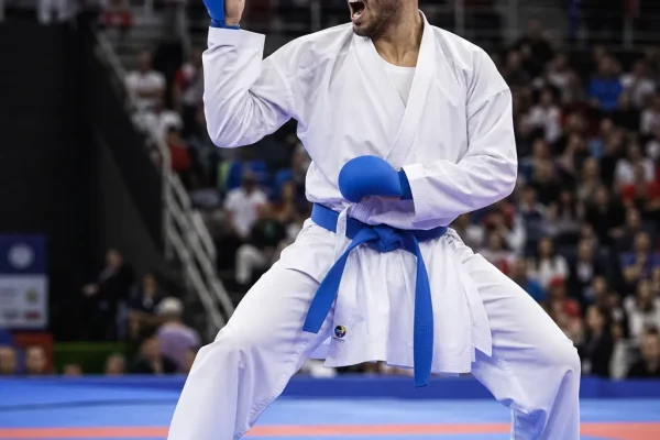 Rekordy świata – karate