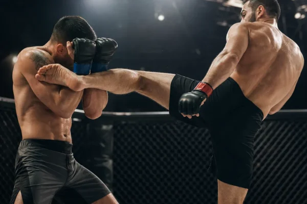 Najlepsi zawodnicy MMA na świecie